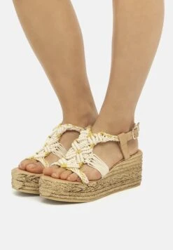 MTNG Alpargatas - Arena